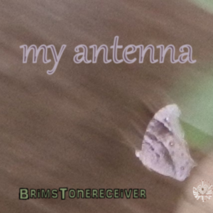 My antenna